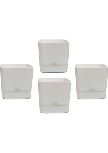 Elite 4 Adet Begonya Kare Saksı 16 cm 2,3 Lt - Beyaz Renk Genişlik 16 cm Yükseklik 15 cm 1 Adet
