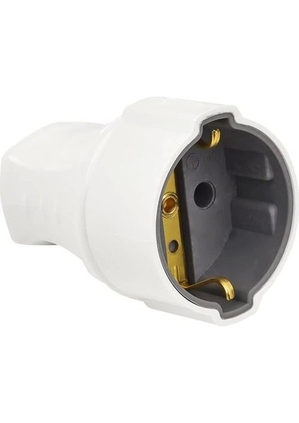 Topraklı Dişi Fiş