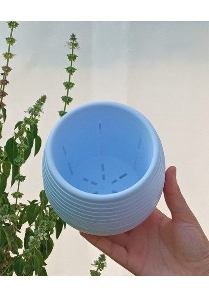 Elite Kaktüs & Sukulent Saksısı 0,55 Lt 1 Adet Beyaz Elvan Saksı Renkli Saksı Mini Saksı Plastik Saksı 1 Adet fiyatları