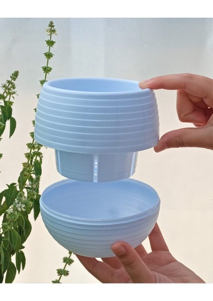 Elite Kaktüs & Sukulent Saksısı 0,55 Lt 1 Adet Beyaz Elvan Saksı Renkli Saksı Mini Saksı Plastik Saksı 1 Adet modelleri