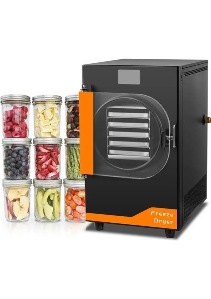 Dfd-06 Freeze Dryer Dondurarak Gıda Kurutma Fırını