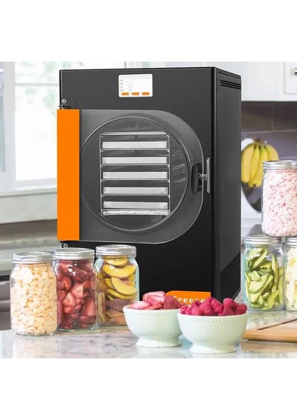 Dfd-06 Freeze Dryer Dondurarak Gıda Kurutma Fırını