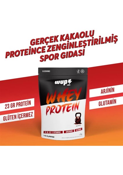 Whey Protein Çikolata Aromalı (576 gr 16 Servis) fiyatları
