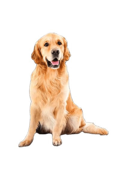 Köpek Araba Koltuğu Kapağı Katlanır Hamak Pet Taşıma Çantası Sepet Taşıma Kedi Kararlı Katlanabilir Seyahat Pet Köpek Araba Koltuğu (Yurt Dışından)