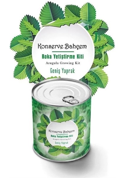 Konserve Bahçem Evde Konservede Iri Yapraklı Roka Yetiştirme Kiti