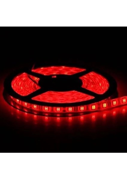 5 Metre Cata Ct 4482 10 Çip Iç Mekan Şerit LED Kırmızı 12V