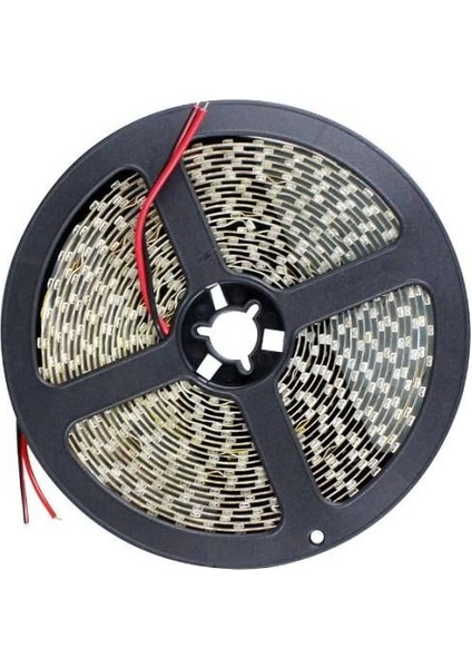 5 Metre Cata Ct 4482 10 Çip Iç Mekan Şerit LED Kırmızı 12V