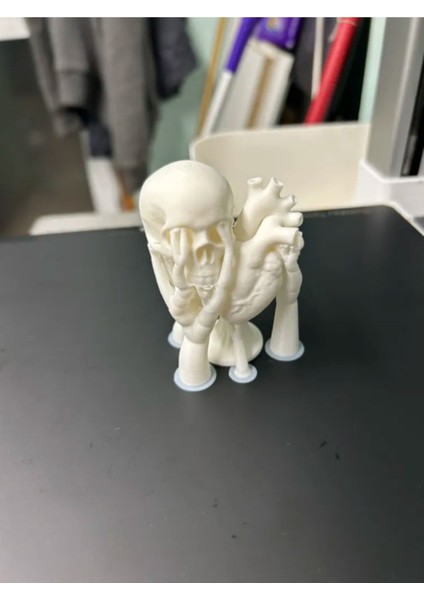 Kafatası ve Kalp Beyaz Heykel - Özgün Tasarım 3D Baskı