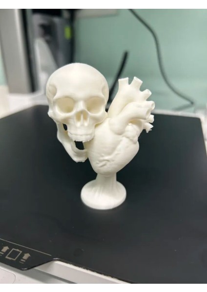 Kafatası ve Kalp Beyaz Heykel - Özgün Tasarım 3D Baskı
