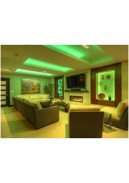 5 Metre Cata Ct 4483 10 Çip Iç Mekan Şerit LED Yeşil 12V