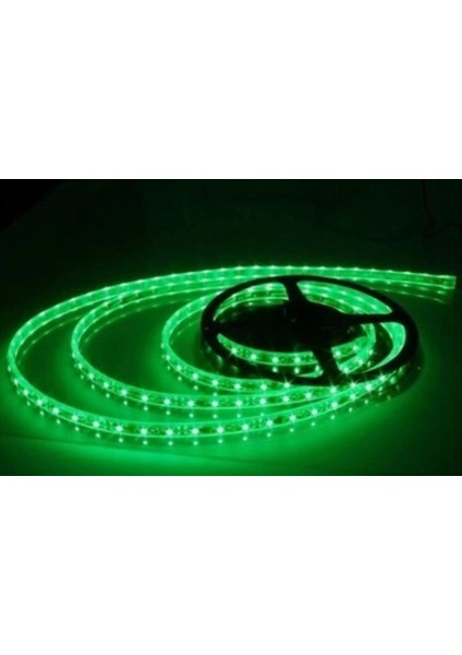 5 Metre Cata Ct 4483 10 Çip Iç Mekan Şerit LED Yeşil 12V