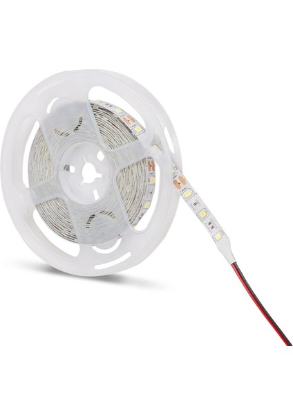 5 Metre Noas YL40 4007 Iç Mekan 12V 60 Çip Şerit LED 4000K