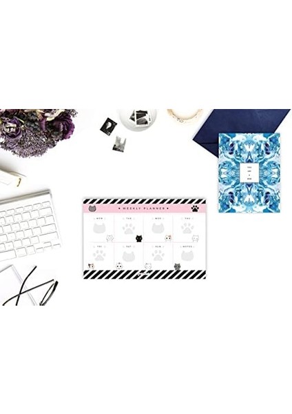 Haftalık, Günlük Planner Set - Masaüstü Planlayıcı - 50 Sayfa Tarihsiz Ders Programı, Iş Listesi, Buluşma Için To Do List - 3 Parça - Kedi Serisi
