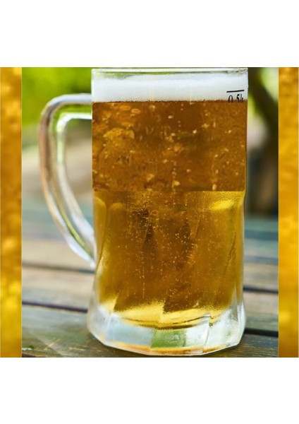 2 Adet 500 Cc. Arjantin Kulplu Cam Pub Bira Bardağı