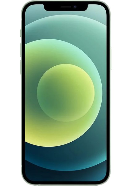Yenilenmiş iPhone 12 64 GB Siyah Cep Telefonu (12 Ay Garantili) - B Kalite fiyatları