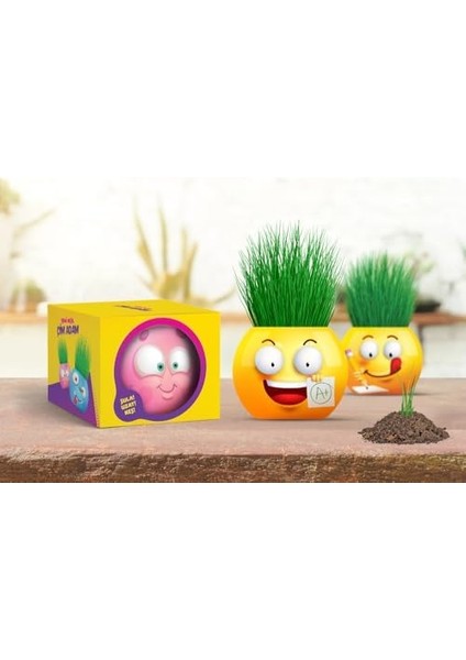 Emoji Temalı Çim Adam 6'lı Set - Çocuklar Için Eğitici ve Eğlenceli Bitki Yetiştirme Kiti
