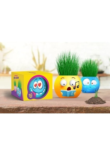 Emoji Temalı Çim Adam 6'lı Set - Çocuklar Için Eğitici ve Eğlenceli Bitki Yetiştirme Kiti