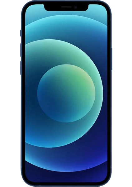 Yenilenmiş iPhone 12 Mini 64 GB Siyah Cep Telefonu (12 Ay Garantili) - C Kalite fiyatları