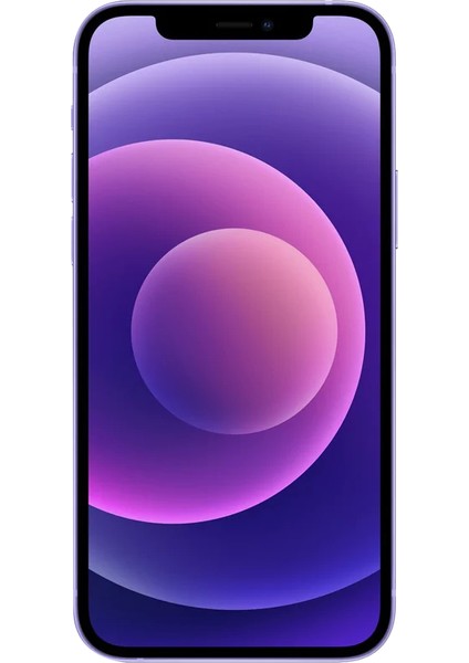 Yenilenmiş iPhone 12 Mini 64 GB Siyah Cep Telefonu (12 Ay Garantili) - B Kalite fiyatları
