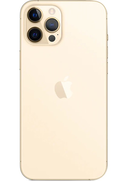 Yenilenmiş iPhone 12 Pro Max 256 GB Grafit Cep Telefonu (12 Ay Garantili) - C Kalite modelleri