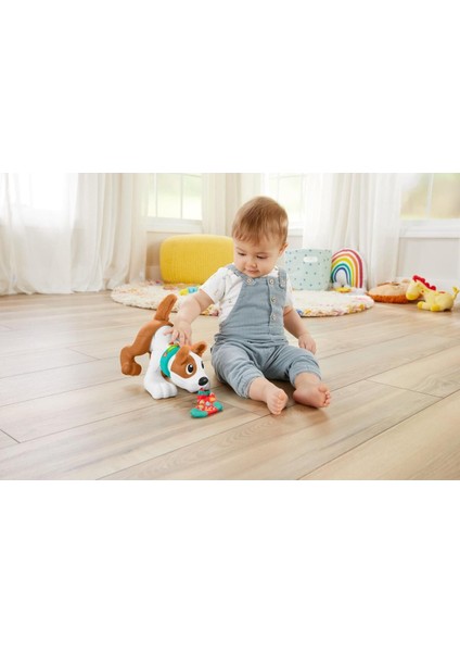 Emeklemeyi ve Saymayı Öğreten Köpekçik HHH13 indirimleri