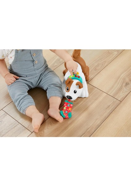 Emeklemeyi ve Saymayı Öğreten Köpekçik HHH13