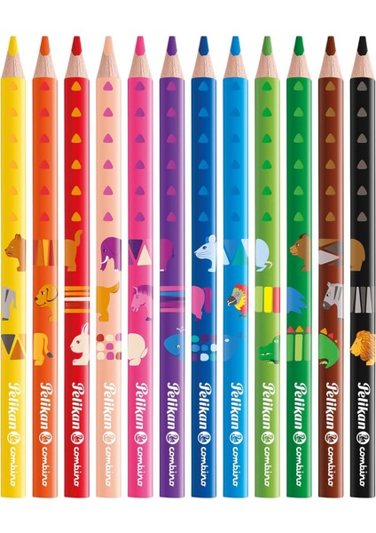 Combino 12LI Jumbo Üçgen Kuru Boya