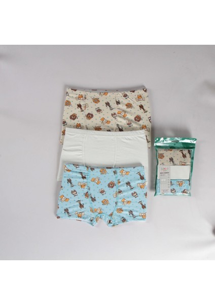 Elmas Karışık Desen 3lü Erkek Çocuk Boxer Set B-84