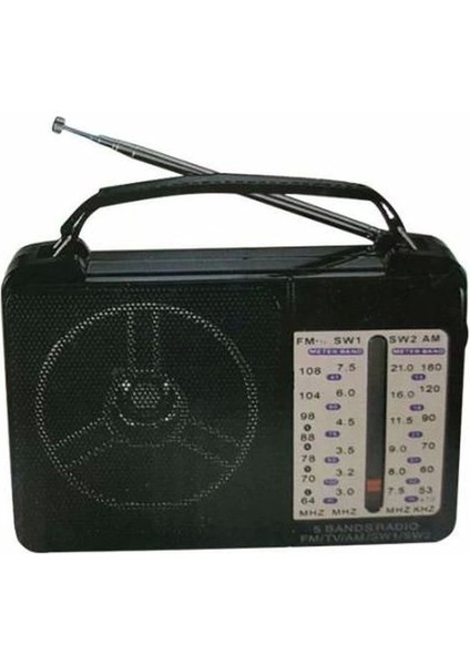 Fm-Am-Sw Dünya Radyo RT-1218