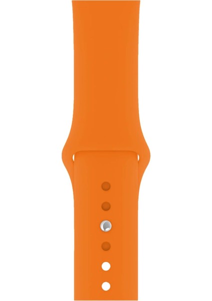 Watch Uyumlu Series 3 4 5 6 7 8 9 Se 42 44 45 49 Series 10 46MM (L) Silikon Kordon Kayış