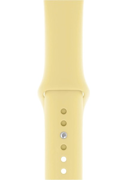 Watch Uyumlu Series 3 4 5 6 7 8 9 Se 42 44 45 49 Series 10 46MM (L) Silikon Kordon Kayış