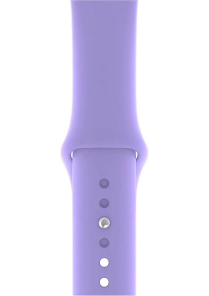 Apple Watch Uyumlu Series 3 4 5 6 7 8 9 Se 38 40 41 mm Series 10 42MM (S) Silikon Kordon Kayış