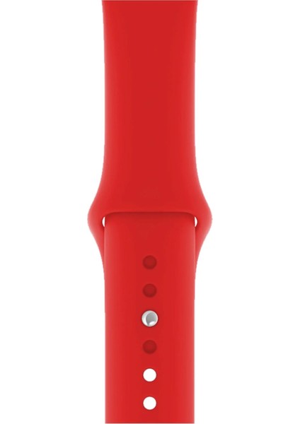 Apple Watch Uyumlu Series 3 4 5 6 7 8 9 Se 38 40 41 mm Series 10 42MM (S) Silikon Kordon Kayış