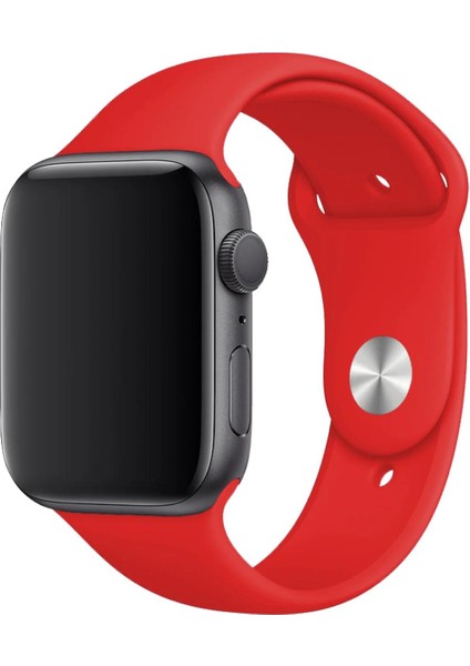 Apple Watch Uyumlu Series 3 4 5 6 7 8 9 Se 38 40 41 mm Series 10 42MM (S) Silikon Kordon Kayış fiyatları