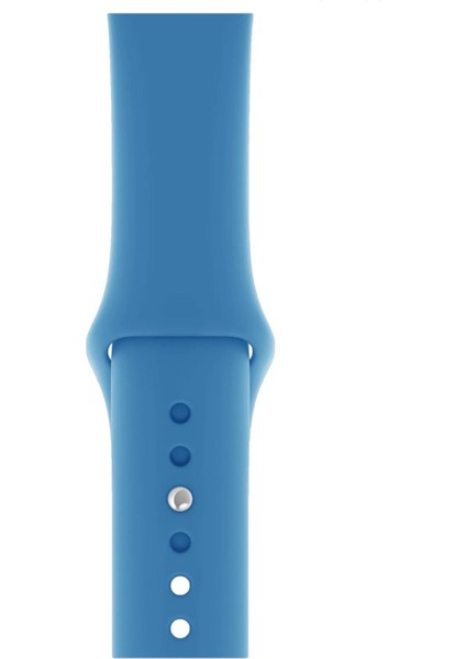 Apple Watch Uyumlu Series 3 4 5 6 7 8 9 Se 38 40 41 mm Series 10 42MM (S) Silikon Kordon Kayış