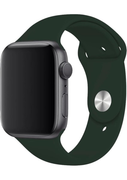 Apple Watch Uyumlu Series 3 4 5 6 7 8 9 Se 38 40 41 mm Series 10 42MM (S) Silikon Kordon Kayış fiyatları