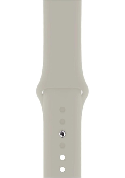 Apple Watch Uyumlu Series 3 4 5 6 7 8 9 Se 38 40 41 mm Series 10 42MM (S) Silikon Kordon Kayış