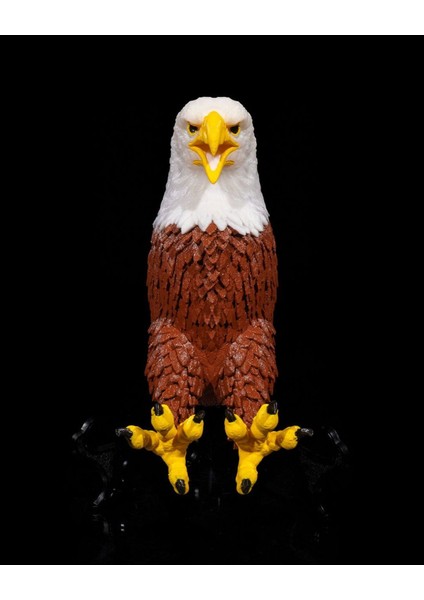 Kartal Duvar Lambası (Gerçek Kartal Renklerinde) Adaptörlü. fiyatları