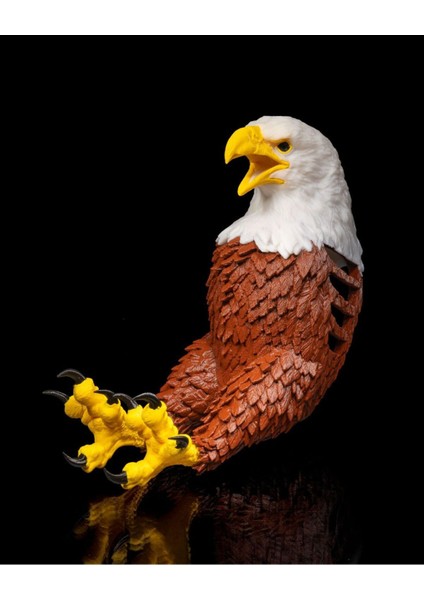 Kartal Duvar Lambası (Gerçek Kartal Renklerinde) Adaptörlü. modelleri