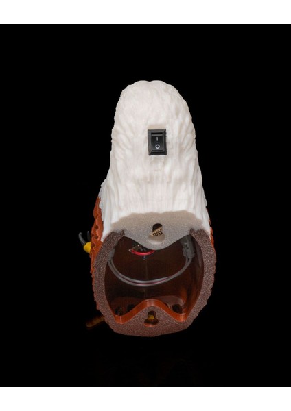 Kartal Duvar Lambası (Gerçek Kartal Renklerinde) Adaptörlü.