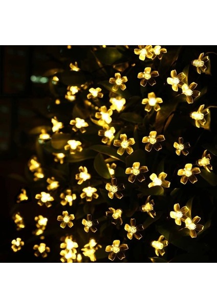 Solar 5m 50 LED Papatya Gün Işığı 8 Fonksiyonlu