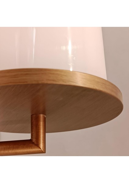 Ruby Gold Metal Aplik fiyatları