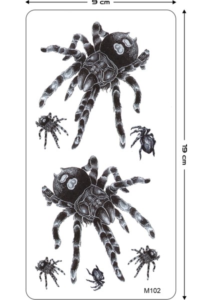 Örümcek Dövmesi Tarantula Dövme Tattoo