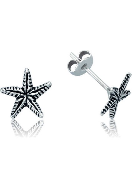 Mulvxeasy EASY02 925 Ayar Deniz Yıldızı Çivili Küpe EA1160024 (8585) (Mulvix) fiyatları