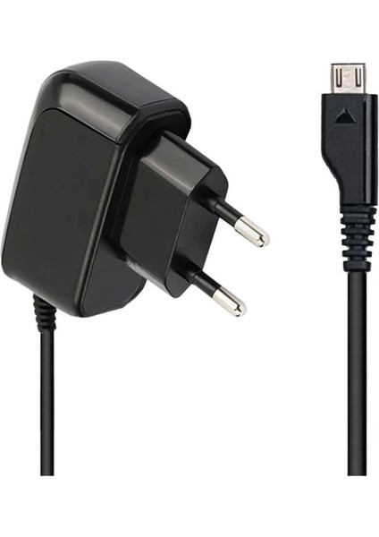 Massive PCH881 1.0A Micro USB Mini Mobile Şarj Cihazı