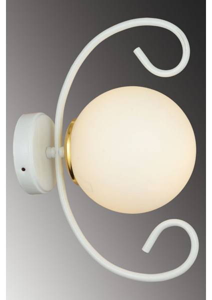 Beyaz Kelebek Beyaz Glop Camlı Modern Aplik fiyatları