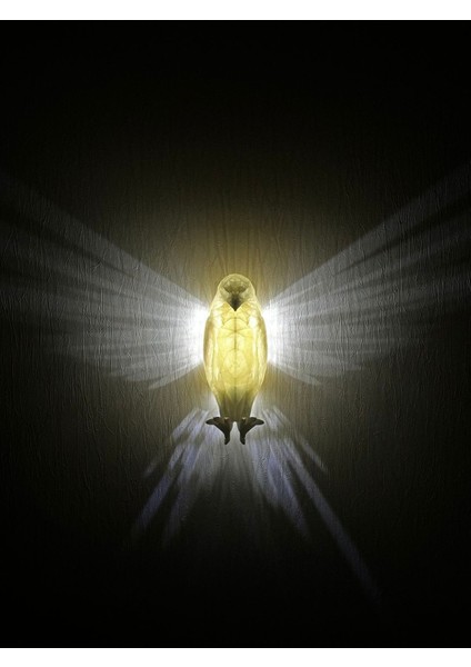 Kartal Aplik Duvar Lambası Gece Lambası - Pilli