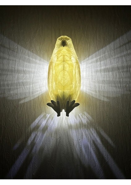 Kartal Aplik Duvar Lambası Gece Lambası - Pilli modelleri