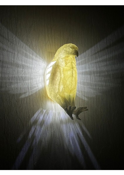 Kartal Aplik Duvar Lambası Gece Lambası - Pilli fırsatları