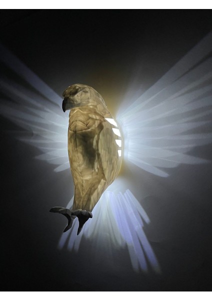 Pilli LED Beyaz Kartal Aplik Özel 3D Üretim Beyaz Lamba Kartal fiyatları